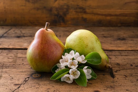 Red pear, flowering pear, on vintage dark wood background.