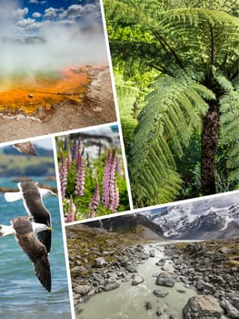 Collage of New Zealand images - travel background (my photos)