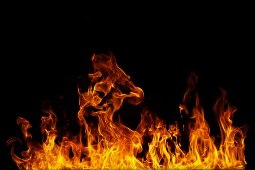 close up on fire flames on a black background