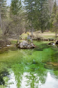 spring green forest landscape lake and fir trees reflection