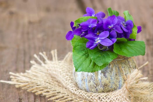 Viola odorata -  spring flowers bouquet