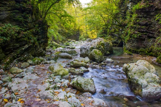 River stream in colorful autumn forest (stream Kozjak, Soca valley, Slovenia)