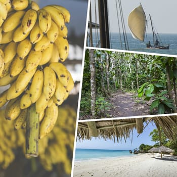 Collage of Zanzibar images - travel background (my photos)