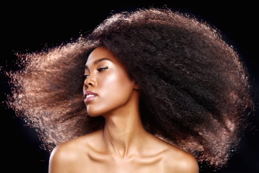 Beautiful Stunning Portrait of an African American Black Woman With Big Hair