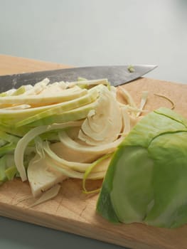Organic white cabbage, healthy food or diet concept image, vegetarian or vegan food