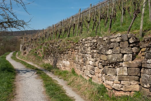 Old stone wall in the vineyard in Germany