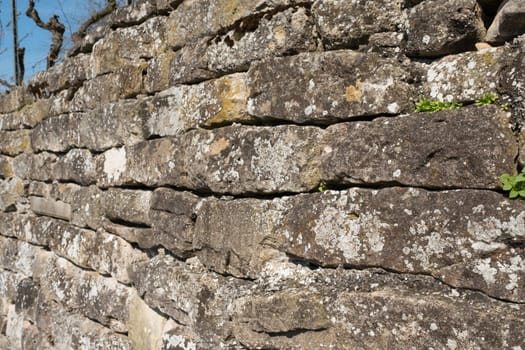 Old stone wall with lichens and plants