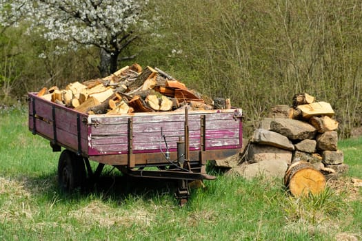 Trailer with split firewood on a meadow