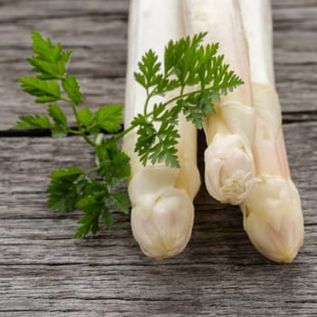 Asparagus tips white and raw in qudrat