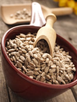 Raw sunflower seeds in a red bowl with a wooden spoon, healthy food or ingredients, close up shot with selective focus