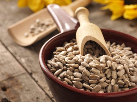 Raw sunflower seeds in a red bowl with a wooden spoon, healthy food or ingredients, close up shot with selective focus