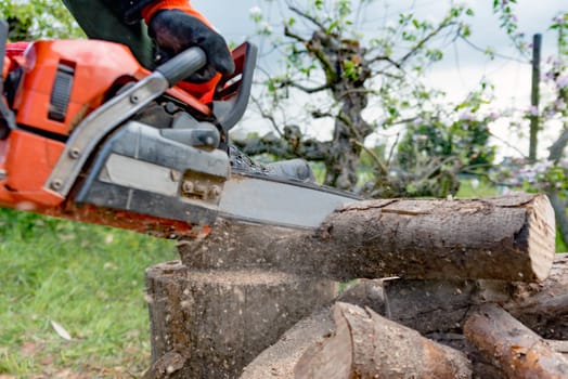 Firewood saws with a chainsaw