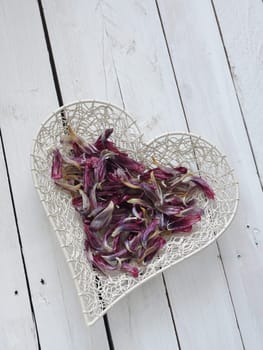 Heart shape of tulip leaves on a rustic white barn wood plank