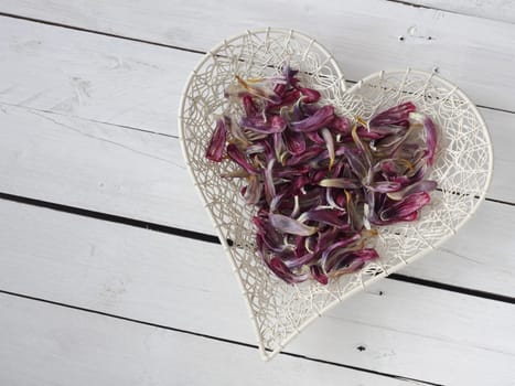 Heart shape of tulip leaves on a rustic white barn wood plank