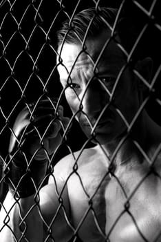 Strong Mixed Martial Arts fighter inside the cage