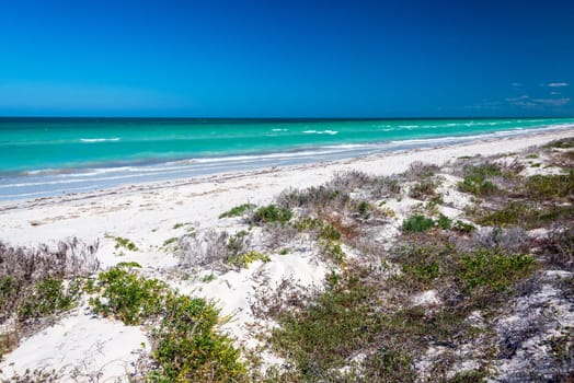 Beautiful deserted beach on the Caribbean Sea near Rio Lagartos, Mexico