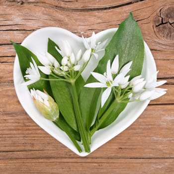 Wild garlic,homeopathy and cooking with medicinal herbs
