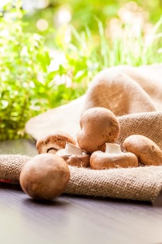 Fresh braund champignons in sunlight on a wooden table in daylight