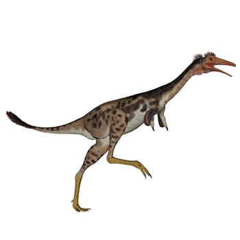 Mononykus dinosaur walking in white background- 3D render