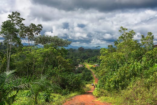 Landscapes in Cameroon