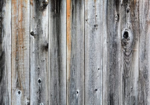 Wood