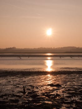Various shots of the river and the mud, along with many birds, buoys, and other sea structures, as the sun sets