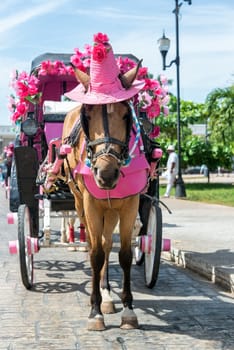 Horse and carriage with the horse wearing a funny pink hat in the plaza in Izamal, Mexico