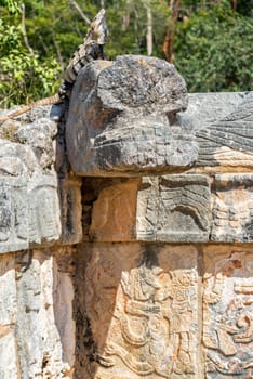 Iguana on the Platform of the Eagles and Jaguars in Chichen Itza, Mexico