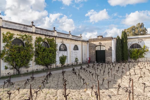 Exterior of a wine cellar in Jerez de la Frontera, Spain
