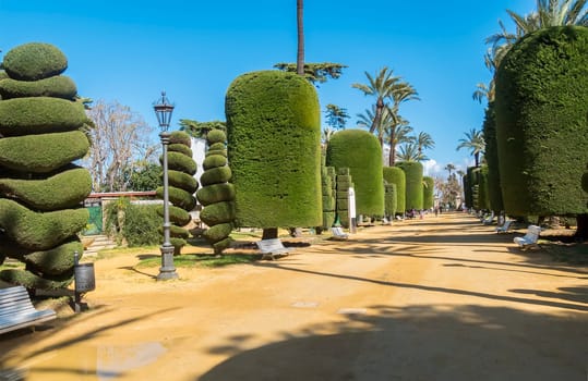 Genoves Park, Andalusia, Spain