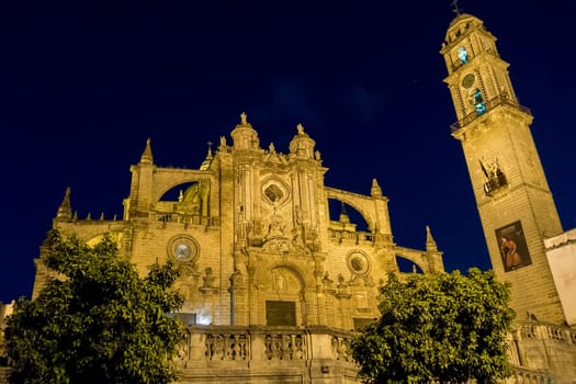 Jerez de la Frontera Cathedral at night, Spain
