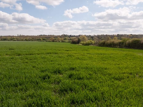 A Lovely Lush Meadow on A Clear Sping Day with Beautiful Clouds and Farm Fields of Plenty of Green Grass and open Space, Freedom and Happiness, and Wellbeing, nobody around, at peace and in heaven