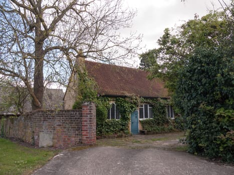 An Old English house with Leaves and Plants Ivy Growing on the Bricks, Cottage with Age and Character with Blue Door and One Floor and a Driveway