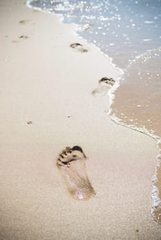 foot prints in the wet shore sand