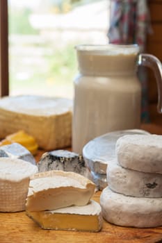 Set of different cheese: camembert, croton, mozzarella, smoked mozzarella and other
