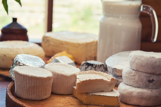 Set of different cheese: camembert, croton, mozzarella, smoked mozzarella and other