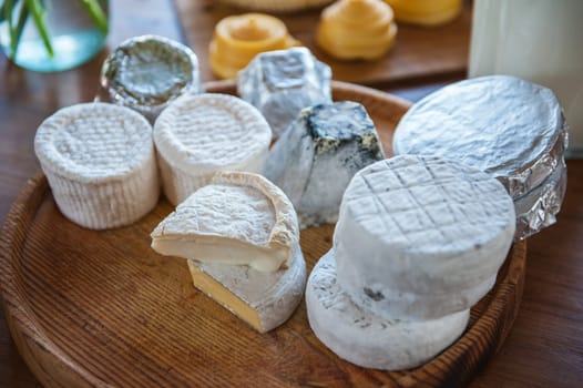 Set of different cheese: camembert, croton, mozzarella, smoked mozzarella and other