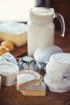 Set of different cheese: camembert, croton, mozzarella, smoked mozzarella and other