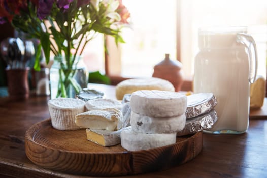 Set of different cheese: camembert, croton, mozzarella, smoked mozzarella and other
