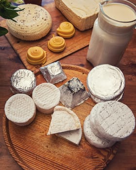Set of different cheese: camembert, croton, mozzarella, smoked mozzarella and other