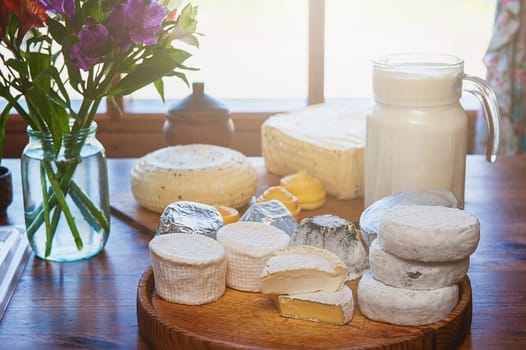 Set of different cheese: camembert, croton, mozzarella, smoked mozzarella and other
