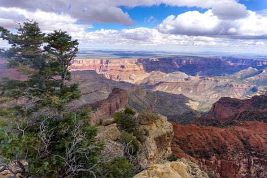 Stunning view from the North Rim of Grand Canyon National Park