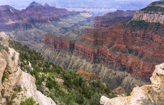 Beautiful view of Grand Canyon National Park as seen from the North Rim