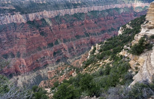 Colorful view of the Grand Canyon with layers of rock visible as seen from the North Rim