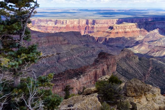 Beautiful view of Grand Canyon National Park from the North Rim of the canyon