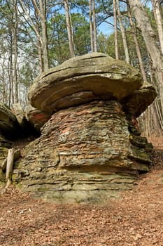 Mushroom Rock in the Forest in Garden of the Gods in Shawnee National Forest in Illinois