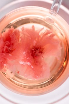 Cherry blossom (sakura) Japanese Herb tea on white background.