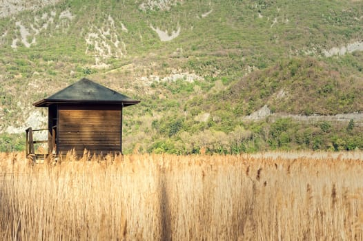 Raised shed hunting for ducks in the middle of a reeds. Tower of hunters.