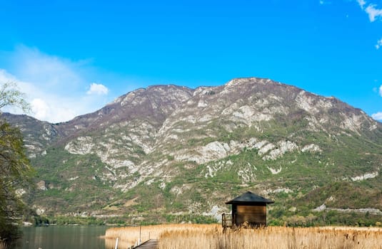 Raised shed hunting for ducks in the middle of a reeds. Tower of hunters.