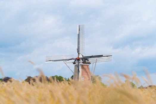 agricultural landscape with a windmill and wheat field in front